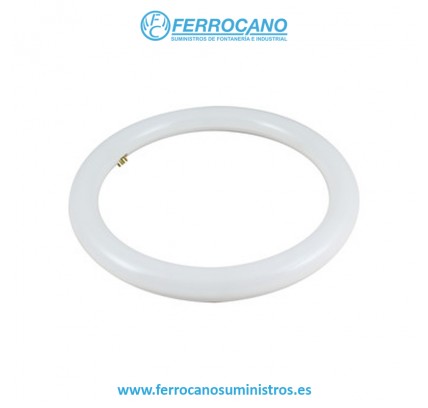 TUBO FLUORESCENTE CIRCULAR LED EDH 20W LUZ BLANCA 8