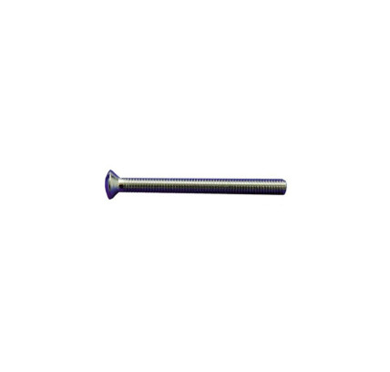 TORNILLO GOTA SENO 6X55 TECNOAGUA T-505 50929