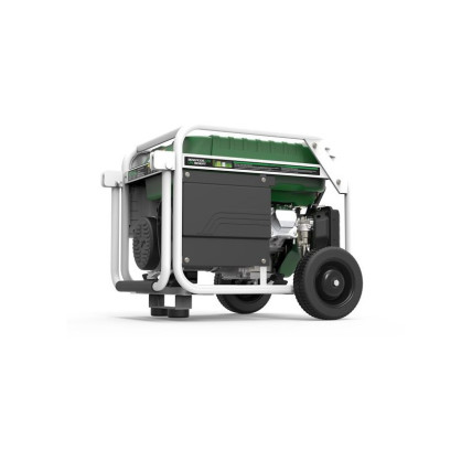 GENERADOR 3000W-230V GAS Y GASOLINA ARRANQUE ELÉCTRICO MODELO NATURA-3000