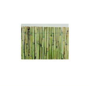 CAÑIZO NATURAL MEDIA CAÑA 2X5 METROS