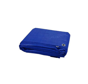 TOLDO MULTIUSOS REFORZADO 5X8 METROS POLIETILENO AZUL