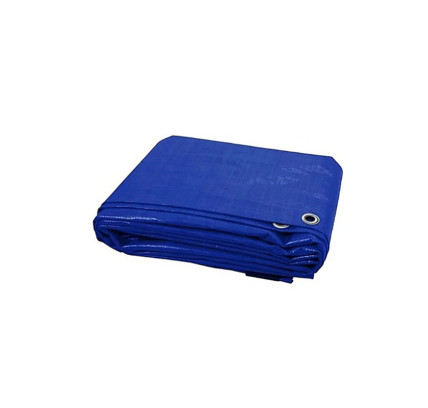 TOLDO MULTIUSOS REFORZADO 5X8 METROS POLIETILENO AZUL