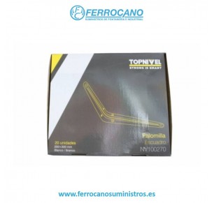 PALOMILLA SOPORTE 250X300MM BLANCA NIVEL