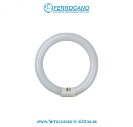 TUBO ILUMINACIÓN FLUORESCENTE CIRCULAR 22W