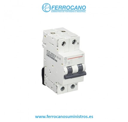 TERMICO G.E 1P+N 40A